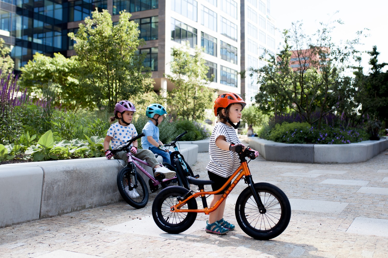 Ri Scal Revolutionize Your Ride: Meet RASCAL Bikes! - VeloMag